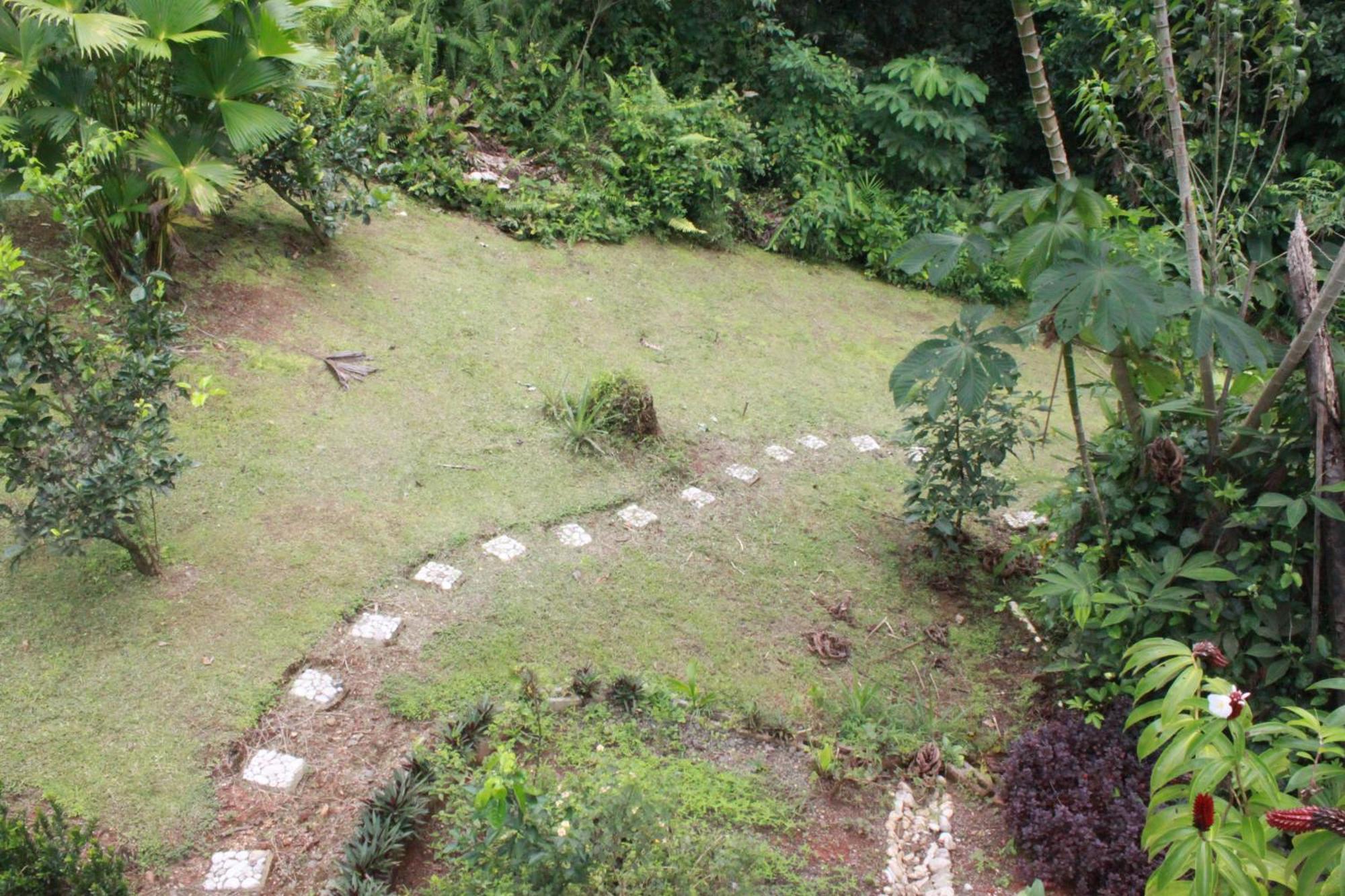 Osa Private Renting House-Villas-Tented-Best Views-Nature-Comfort Puerto Jimenez Exterior photo