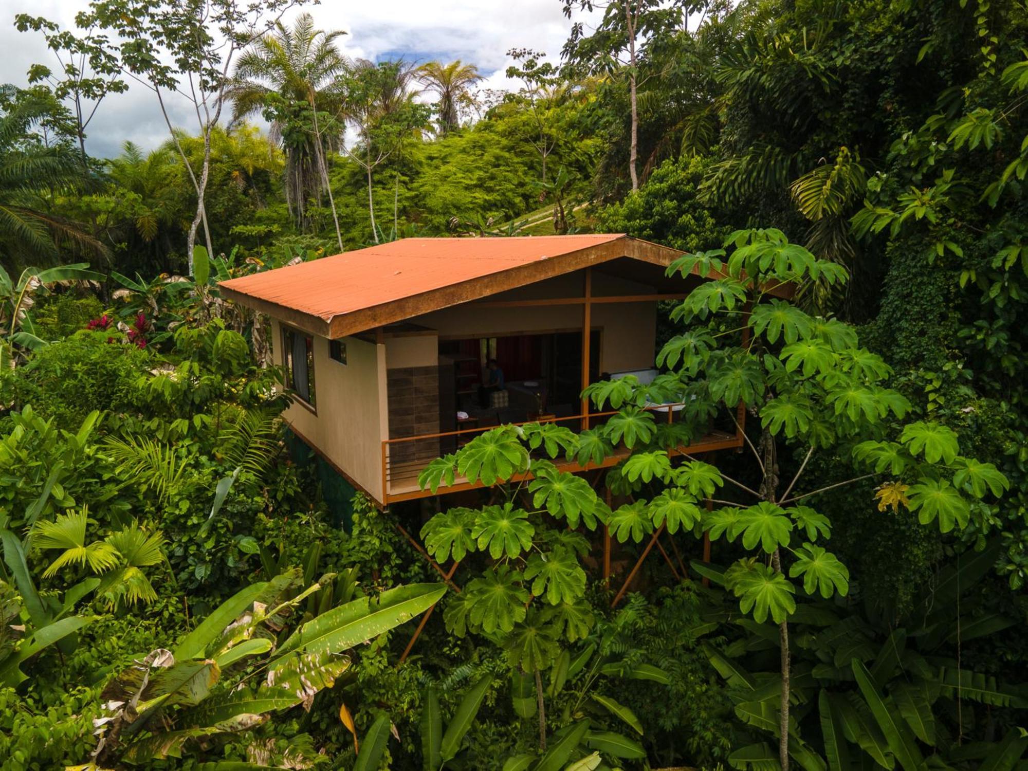 Osa Private Renting House-Villas-Tented-Best Views-Nature-Comfort Puerto Jimenez Exterior photo